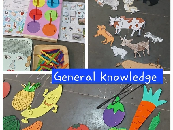 Traffic Awareness Program 